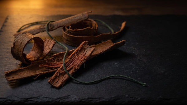 Curls of dried reddish-brown tree bark on dark slate with a green linen thread under warm lamp light