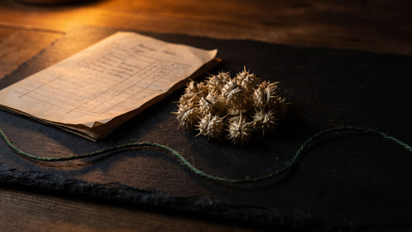 Dried tribulus fruit with its woody spines beside a folded printed panel on dark slate