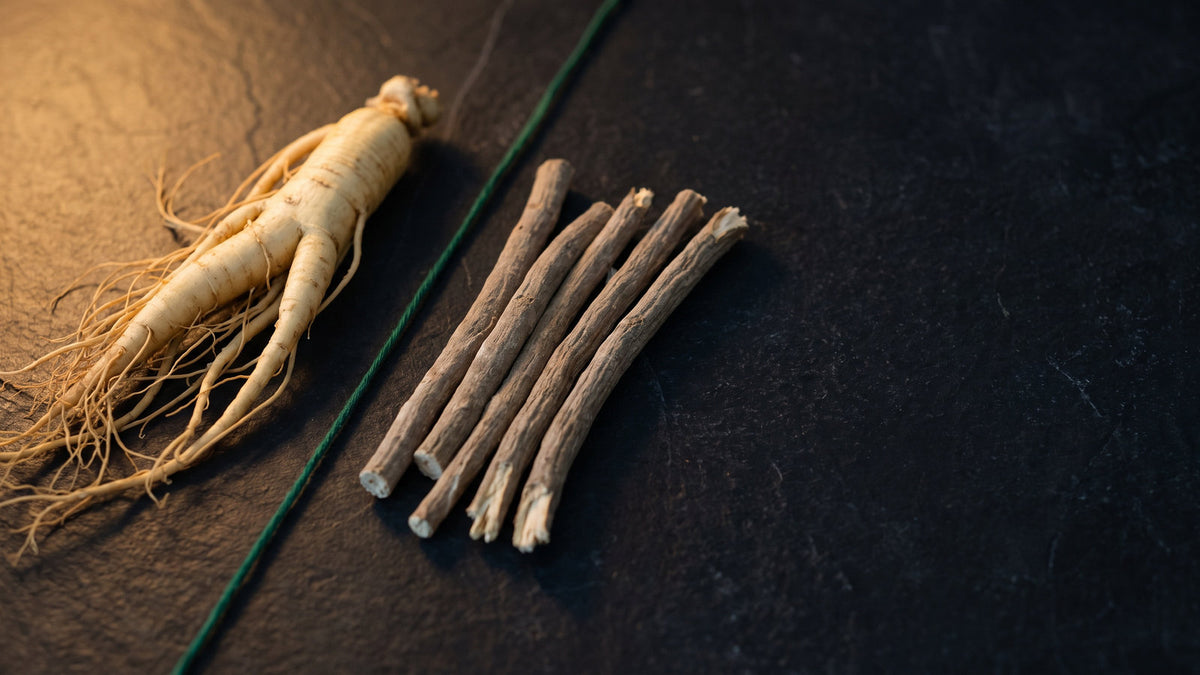 A pale forked ginseng root on the left and cut pieces of ashwagandha root on the right, divided by a green linen thread on dark slate