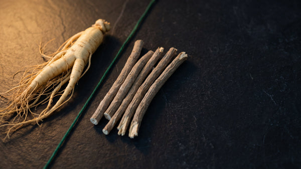 A pale forked ginseng root on the left and cut pieces of ashwagandha root on the right, divided by a green linen thread on dark slate