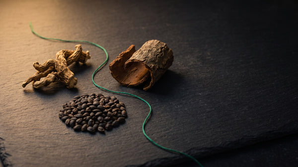 Dried root, seeds and a curl of bark laid out on dark slate with a green linen thread between them